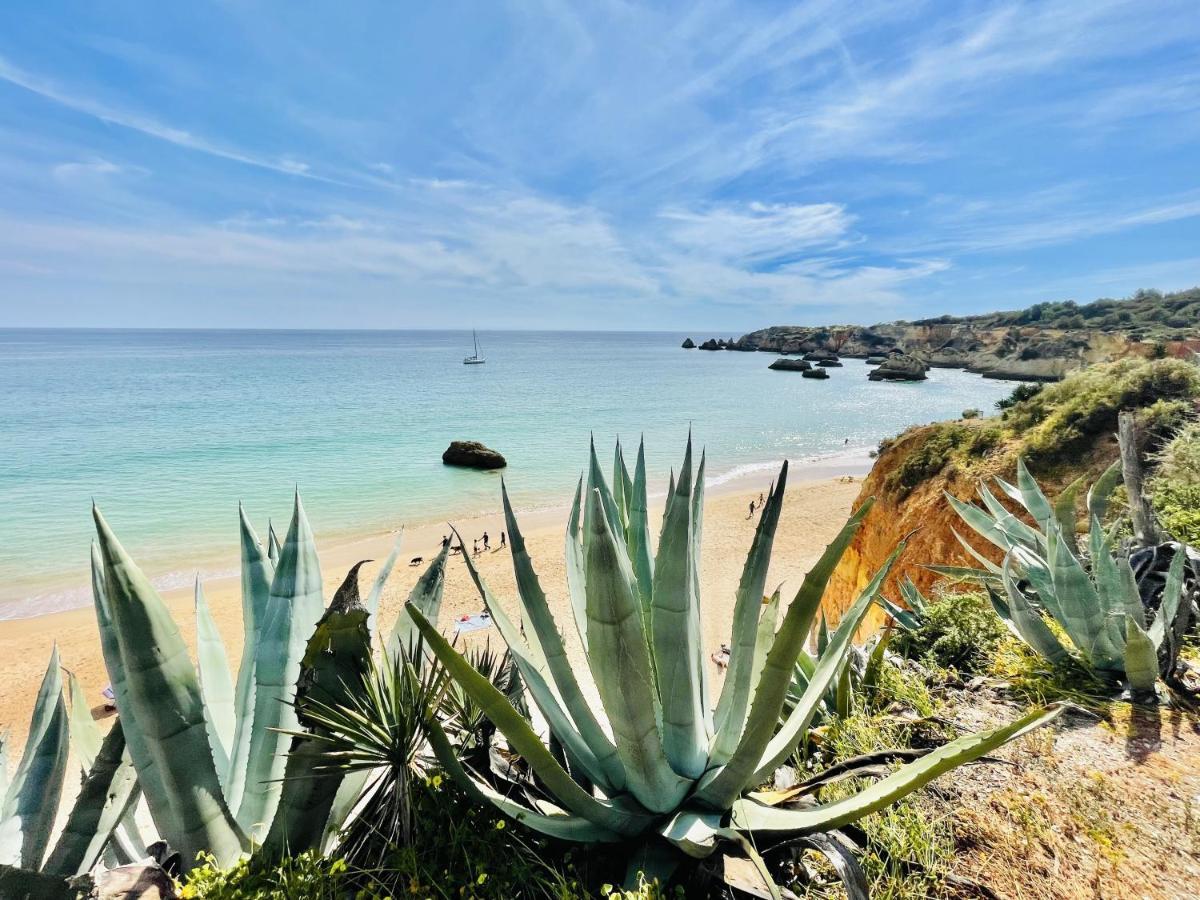 Sublimar - Beachfront - Tv Terrace - Nightlife Portimao Luaran gambar